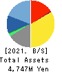 EXTREME CO.,LTD. Balance Sheet 2021年Mar期 EXTREME CO.,LTD. Balance Sheet 2021年3月期
