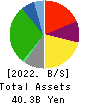 YAMANAKA CO.,LTD. Balance Sheet 2022年3月期