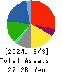Sanoyas Holdings Corporation Balance Sheet 2024年Mar期 Sanoyas Holdings Corporation Balance Sheet 2024年3月期