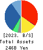 T-Gaia Corporation Balance Sheet 2023年3月期