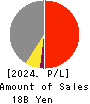 STrust Co.,Ltd. Profit and Loss Account 2024年2月期