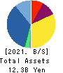 SRE Holdings Corporation Balance Sheet 2021年Mar期 SRE Holdings Corporation Balance Sheet 2021年3月期