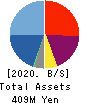 EYEZ,INC. Balance Sheet 2020年12月期