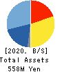 Scigineer Inc. Balance Sheet 2020年6月期