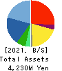 PHYZ Holdings Inc. Balance Sheet 2021年Mar期 PHYZ Holdings Inc. Balance Sheet 2021年3月期