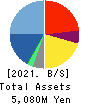 LTS,Inc. Balance Sheet 2021年12月期