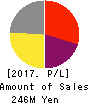 RISE Inc. Profit and Loss Account 2017年Mar期 RISE Inc. Profit and Loss Account 2017年3月期