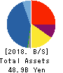 Lacto Japan Co., Ltd. Balance Sheet 2018年Nov期 Lacto Japan Co., Ltd. Balance Sheet 2018年11月期