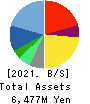 ERI HOLDINGS CO.,LTD. Balance Sheet 2021年May期 ERI HOLDINGS CO.,LTD. Balance Sheet 2021年5月期
