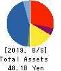 Lacto Japan Co., Ltd. Balance Sheet 2019年Nov期 Lacto Japan Co., Ltd. Balance Sheet 2019年11月期