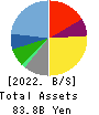 Sanrio Company,Ltd. Balance Sheet 2022年Mar期 Sanrio Company,Ltd. Balance Sheet 2022年3月期