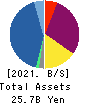 Wealth Management, Inc. Balance Sheet 2021年3月期
