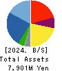 Hakuten Corporation Balance Sheet 2024年Dec期 Hakuten Corporation Balance Sheet 2024年12月期
