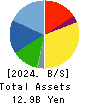 TAIKO PHARMACEUTICAL CO.,LTD. Balance Sheet 2024年Dec期 TAIKO PHARMACEUTICAL CO.,LTD. Balance Sheet 2024年12月期