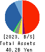 GFOOT CO.,LTD. Balance Sheet 2023年Feb期 GFOOT CO.,LTD. Balance Sheet 2023年2月期