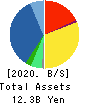 Appier Group,Inc. Balance Sheet 2020年12月期