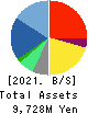 UUUM Co.,Ltd. Balance Sheet 2021年5月期