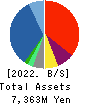 Daikokuya Holdings Co.,Ltd. Balance Sheet 2022年3月期