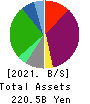 RENOVA,Inc. Balance Sheet 2021年3月期