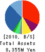 Biznet Corporation Balance Sheet 2010年5月期