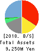 ipet Holdings,Inc. Balance Sheet 2018年3月期