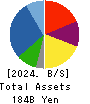 IDOM Inc. Balance Sheet 2024年2月期