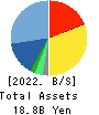 TENPOS HOLDINGS Co.,Ltd. Balance Sheet 2022年Apr期 TENPOS HOLDINGS Co.,Ltd. Balance Sheet 2022年4月期