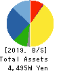 TANAKEN Balance Sheet 2019年3月期