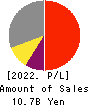 IPS,Inc. Profit and Loss Account 2022年3月期