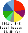 Pharmarise Holdings Corporation Balance Sheet 2023年5月期