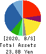 OPTIMUS GROUP COMPANY LIMITED Balance Sheet 2020年3月期