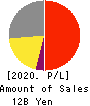 Japan Best Rescue System Co.,Ltd. Profit and Loss Account 2020年Sep期 Japan Best Rescue System Co.,Ltd. Profit and Loss Account 2020年9月期