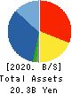 DVx Inc. Balance Sheet 2020年3月期