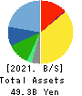 PROTO CORPORATION Balance Sheet 2021年3月期