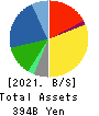 ITOHAM YONEKYU HOLDINGS INC. Balance Sheet 2021年3月期