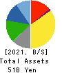 TOMOE CORPORATION Balance Sheet 2021年Mar期 TOMOE CORPORATION Balance Sheet 2021年3月期