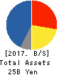 KITAKEI CO.,LTD. Balance Sheet 2017年Nov期 KITAKEI CO.,LTD. Balance Sheet 2017年11月期