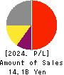 IPS,Inc. Profit and Loss Account 2024年3月期