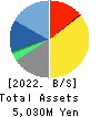 EXTREME CO.,LTD. Balance Sheet 2022年Mar期 EXTREME CO.,LTD. Balance Sheet 2022年3月期