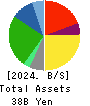 MAKIYA CO.,LTD. Balance Sheet 2024年Mar期 MAKIYA CO.,LTD. Balance Sheet 2024年3月期