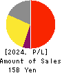 PCA CORPORATION Profit and Loss Account 2024年3月期