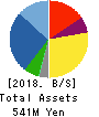 infoNet inc. Balance Sheet 2018年Mar期 infoNet inc. Balance Sheet 2018年3月期