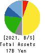 Sumiseki Holdings,Inc. Balance Sheet 2021年3月期