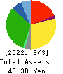 YAMAZAWA CO.,LTD. Balance Sheet 2022年2月期