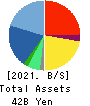 SEPTENI HOLDINGS CO.,LTD. Balance Sheet 2021年Sep期 SEPTENI HOLDINGS CO.,LTD. Balance Sheet 2021年9月期