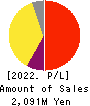 Boutiques,Inc. Profit and Loss Account 2022年3月期