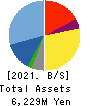ANYCOLOR Inc. Balance Sheet 2021年4月期