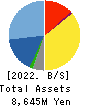ASMO CORPORATION Balance Sheet 2022年3月期