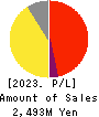 Photosynth inc. Profit and Loss Account 2023年12月期