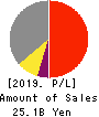 B-Lot Company Limited Profit and Loss Account 2019年12月期